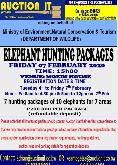 ElephantHuntingAuction.jpg