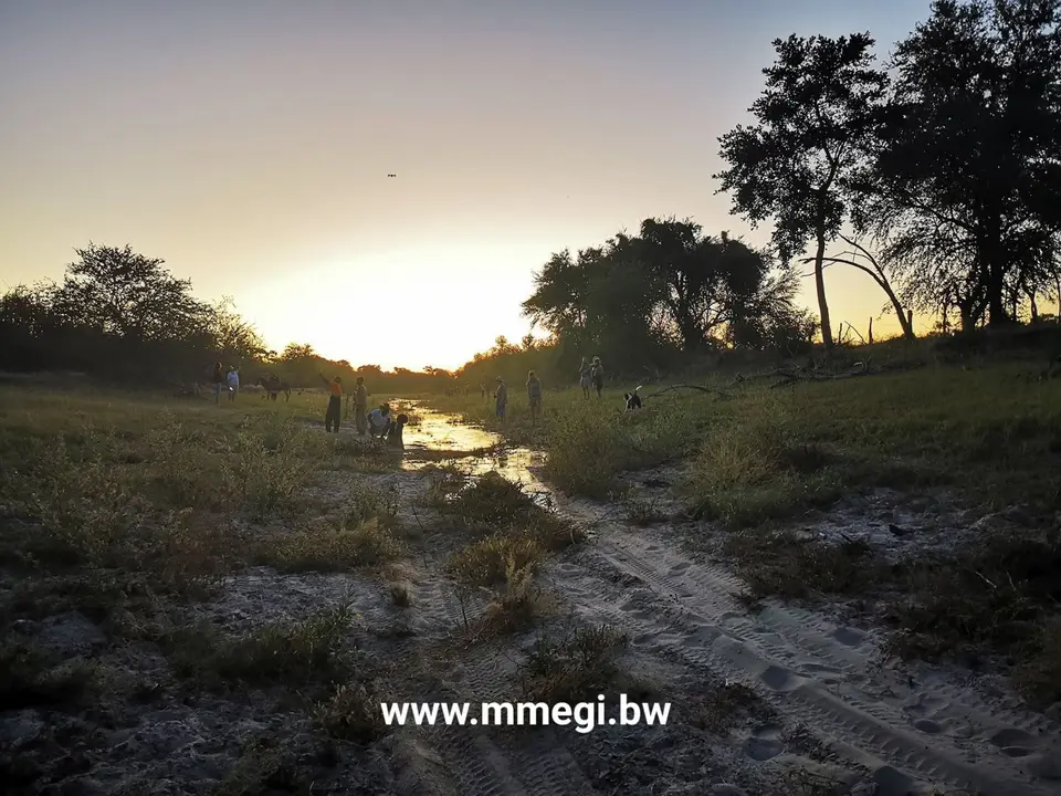 Okavangoflood2020.jpg
