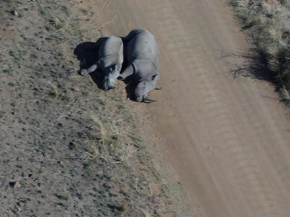 Pilanesberg02112017.jpg