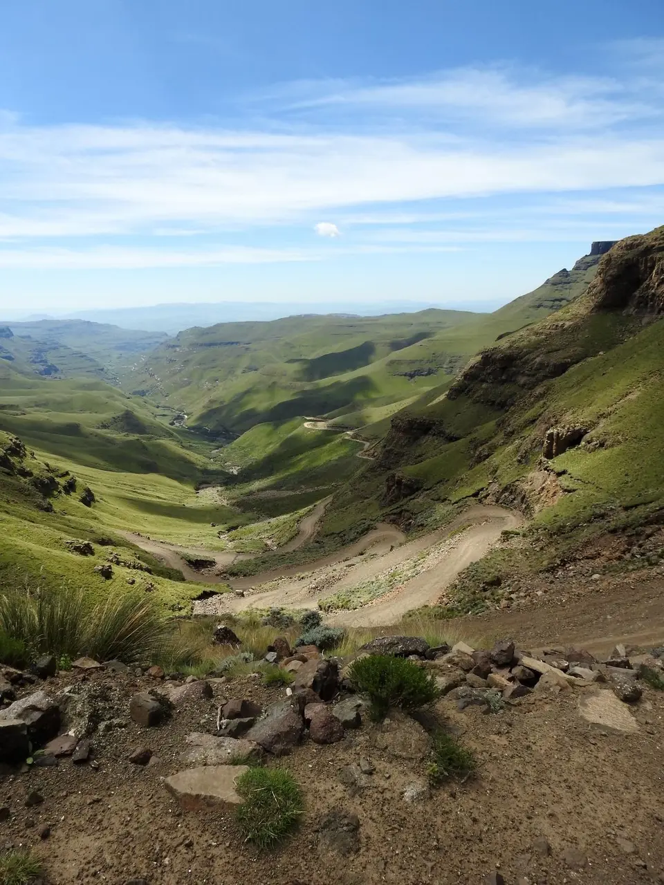 SaniPass.jpg