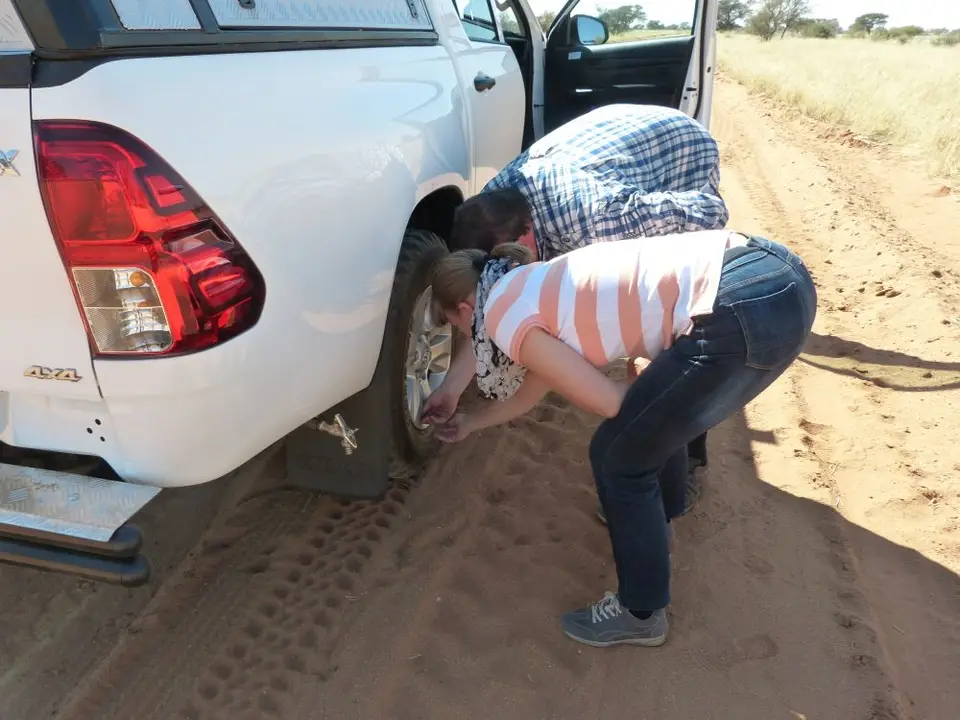 Namib_022c_sm.jpg