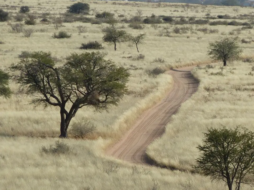 Namib_030_sm.jpg