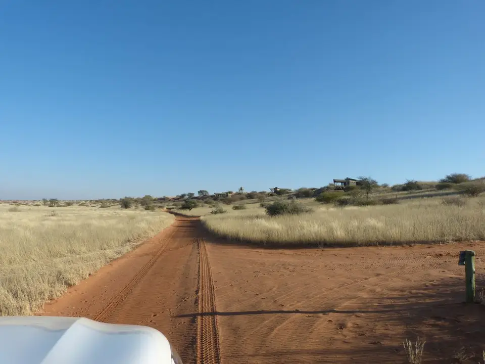 Namib_041_sm.jpg