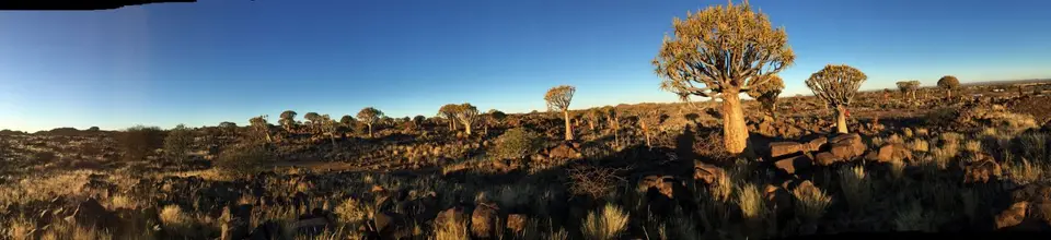 Namib_062_sm.jpg