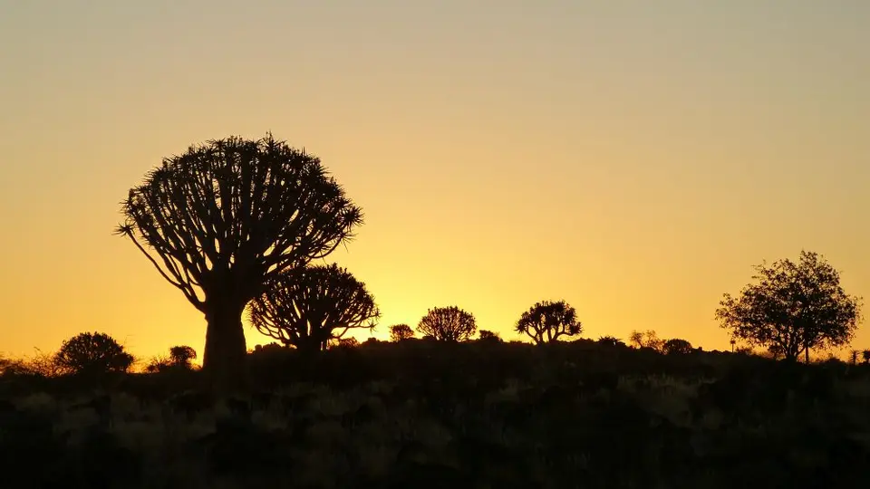 Namib_068_sm.jpg