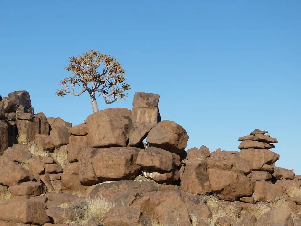 Namib_074b.jpg