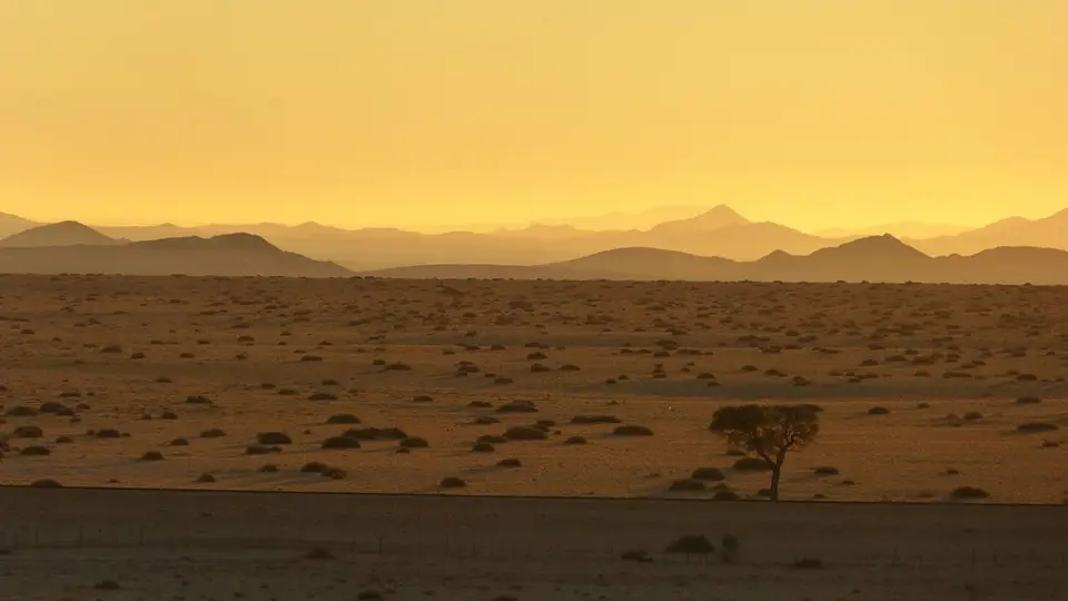 Namib_085.jpg