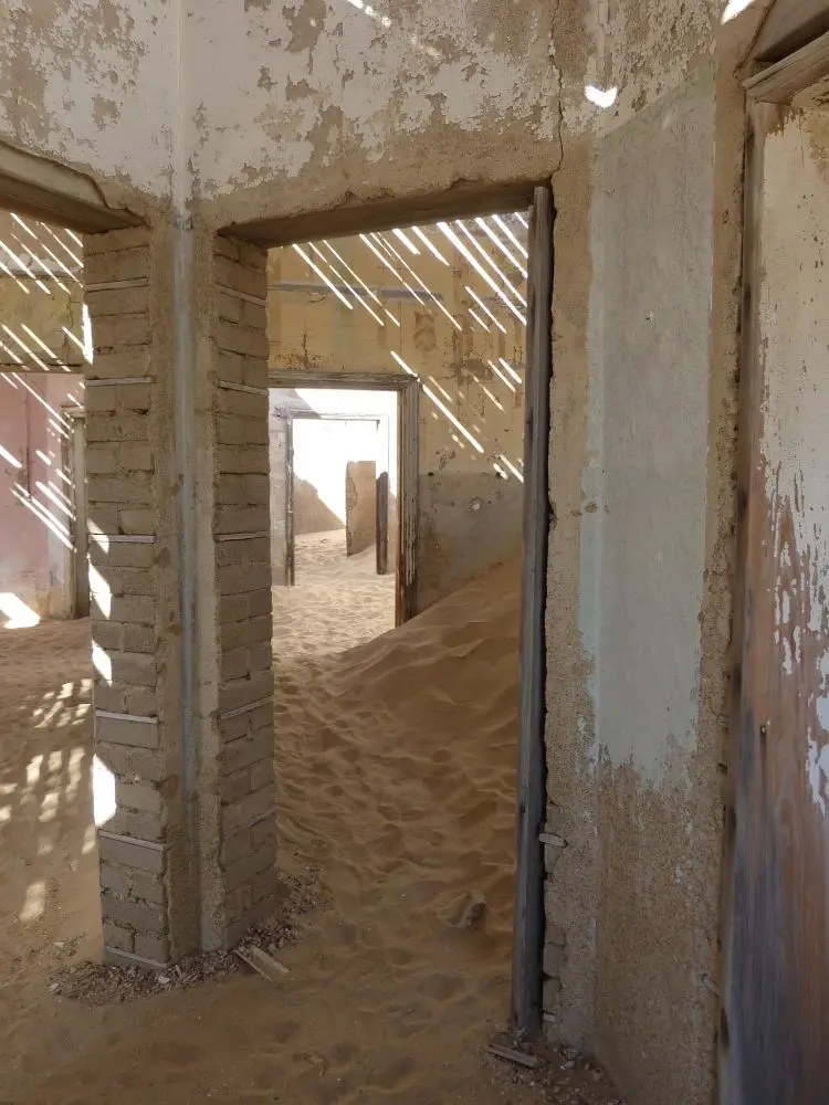 Namib_094_sm.jpg