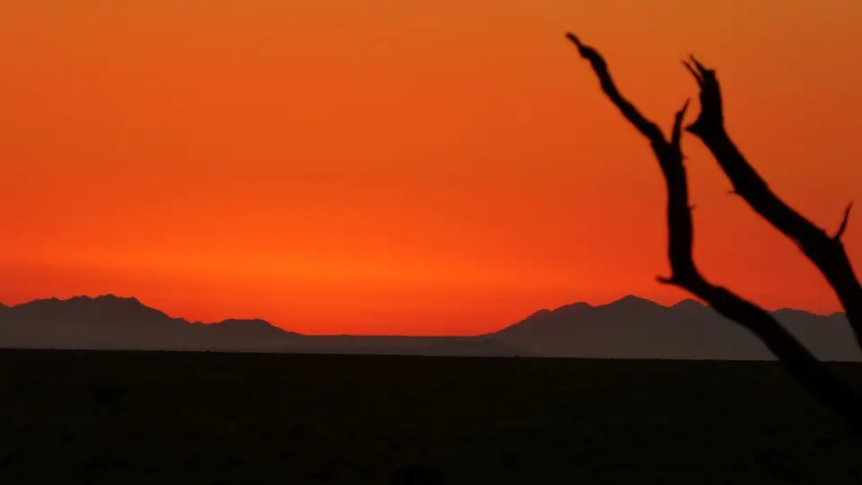Namib_111_sm.jpg
