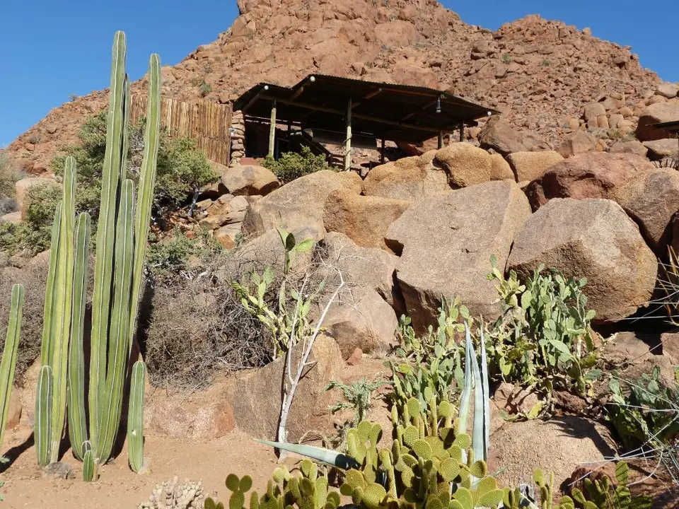 Namib_119_sm.jpg