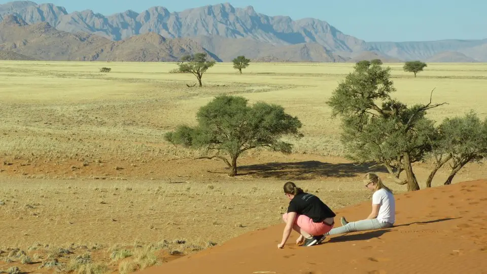 Namib_148_sm.jpg