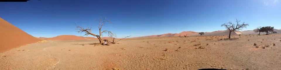 Namib_159_sm.jpg