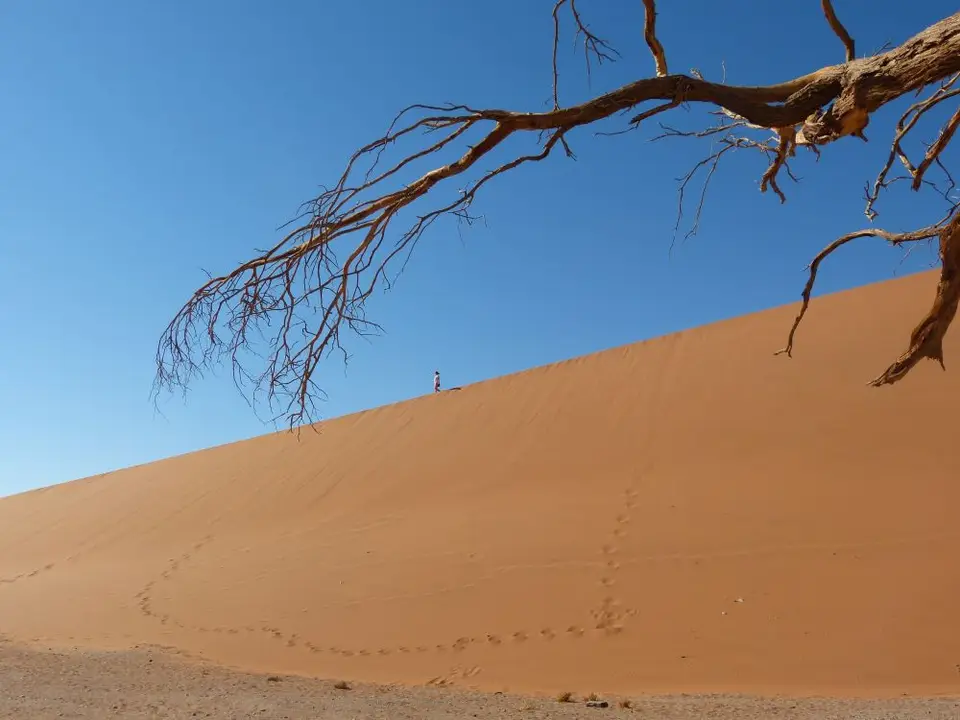 Namib_166_sm.jpg