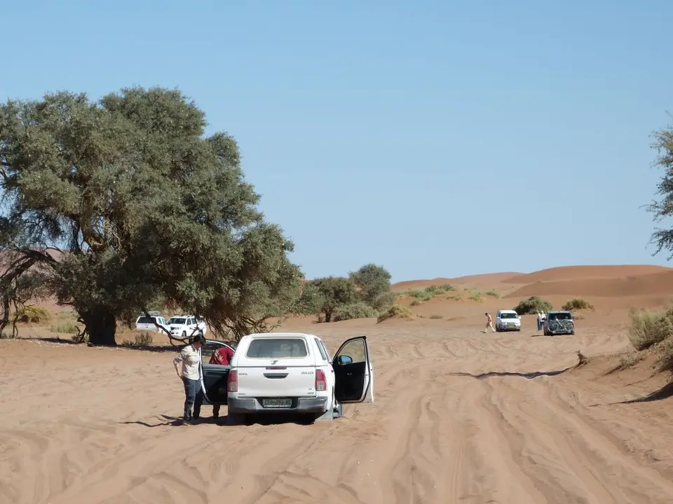 Namib_169_sm.jpg