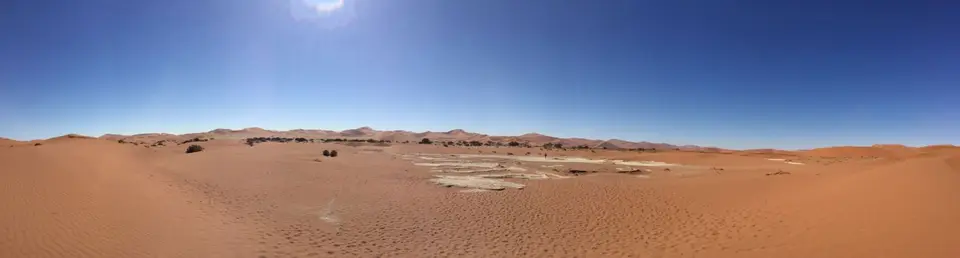 Namib_170_sm.jpg