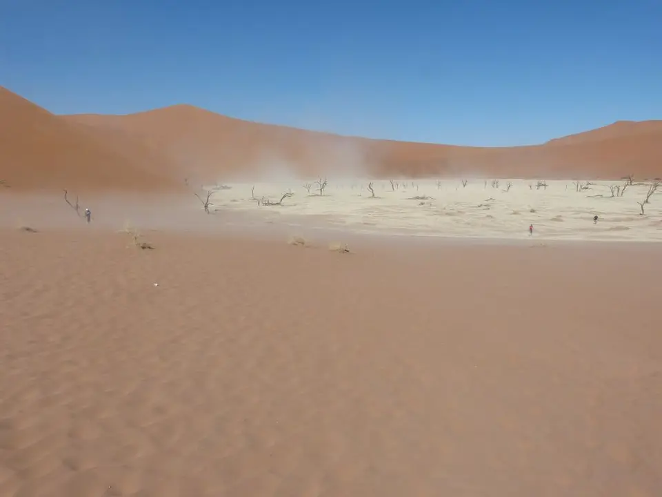 Namib_171_sm.jpg
