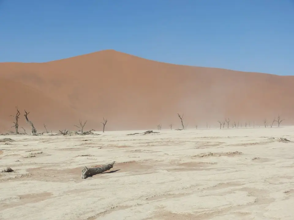 Namib_172_sm.jpg