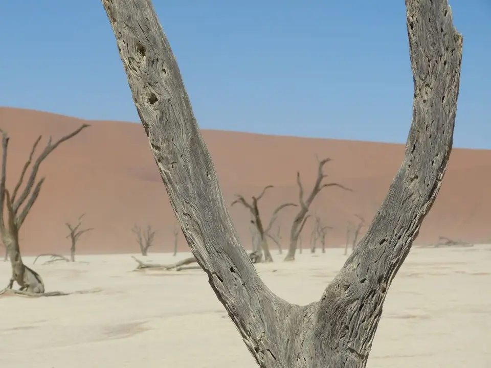 Namib_173_sm.jpg