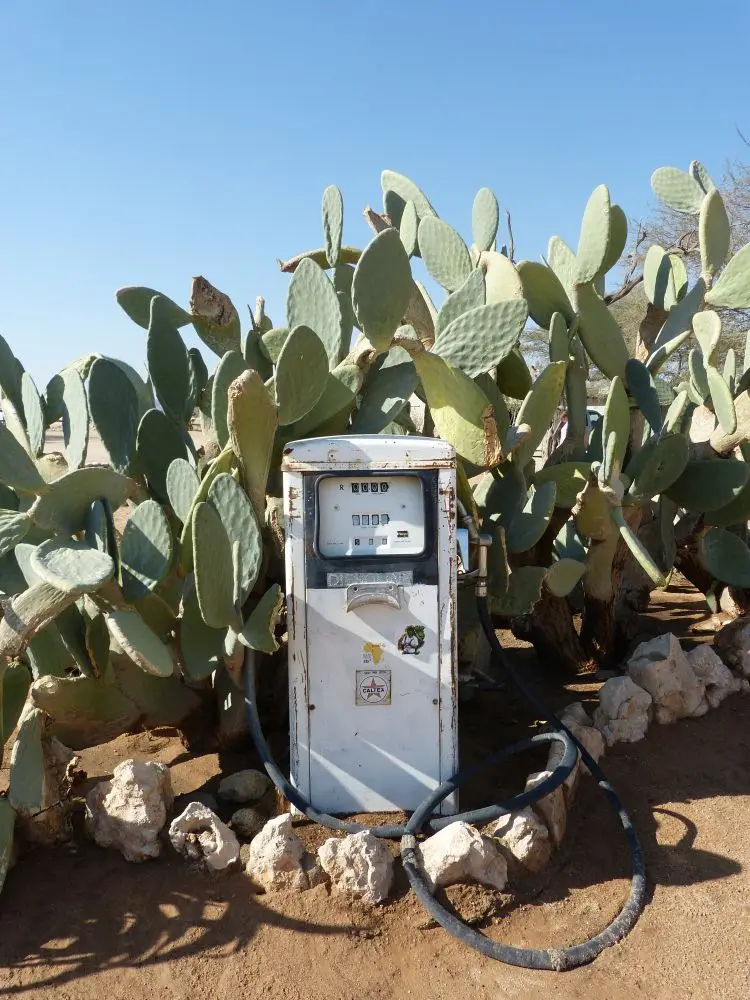 Namib_182_sm.jpg