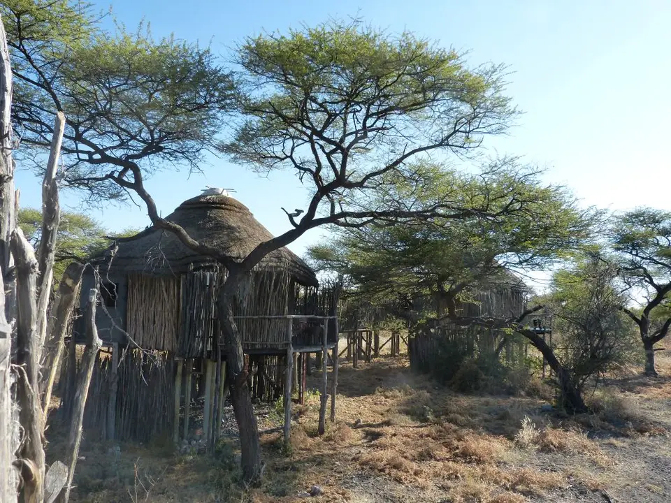 Namib_370_sm.jpg