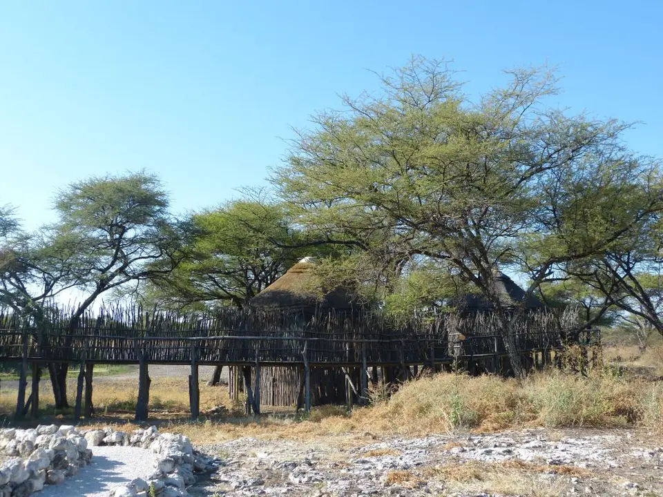 Namib_371_sm.jpg