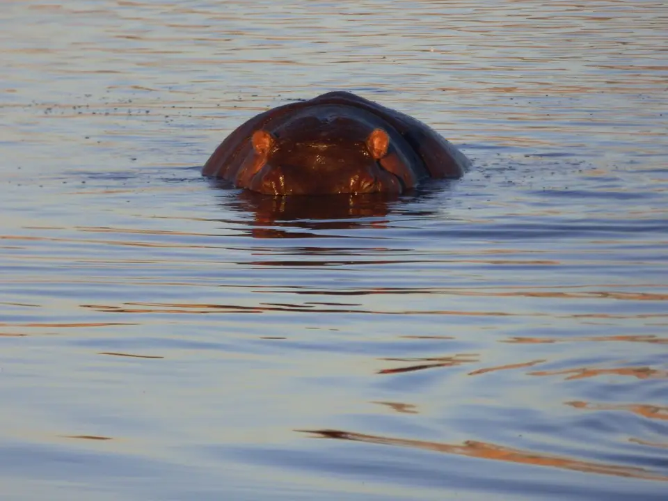 Namib_477_sm.jpg