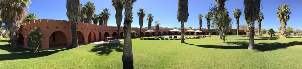 Namib_500_sm.jpg