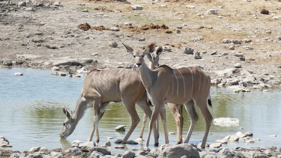 k-P1430314.JPG