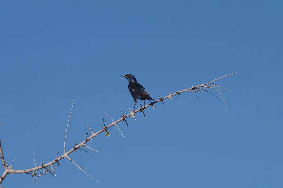 IMGP0696_ergebnis.JPG
