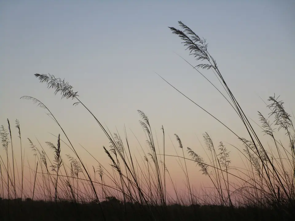 C2EFBAD3-A2A1-4EA1-BE2F-E9EB2B170076.jpeg