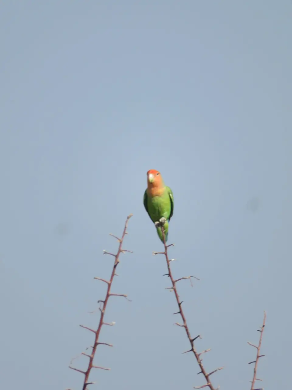 IMG_8642.JPG