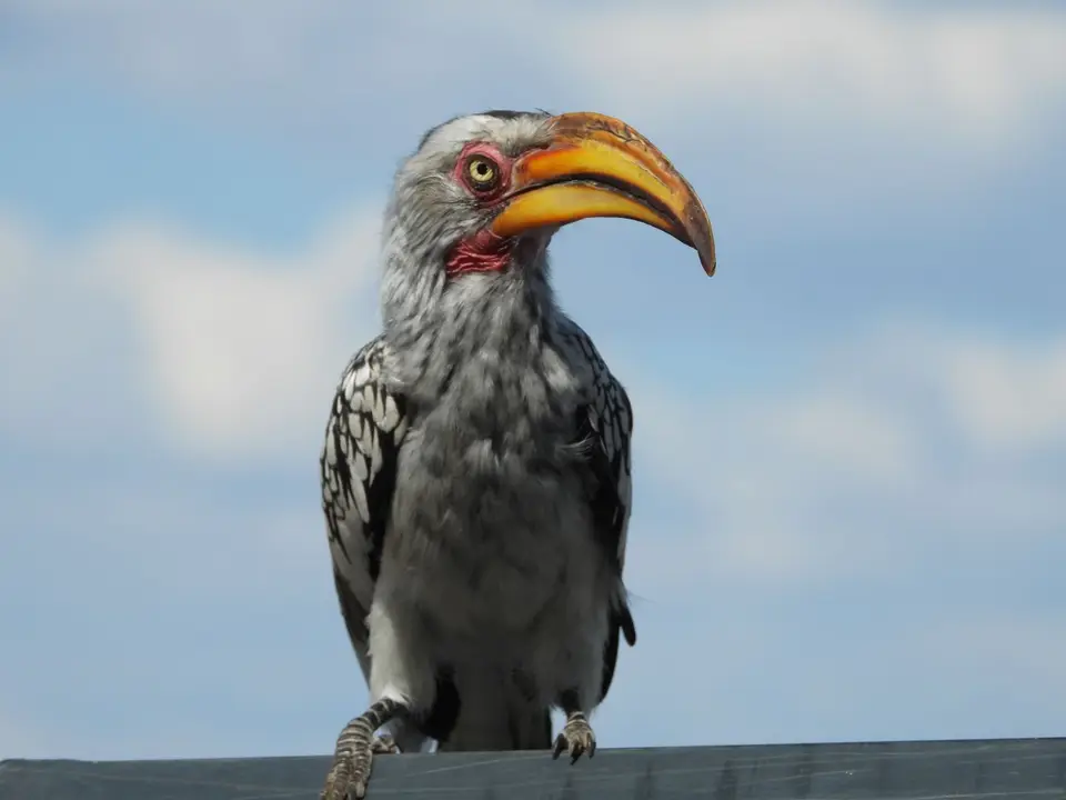 DSCN6349.JPG