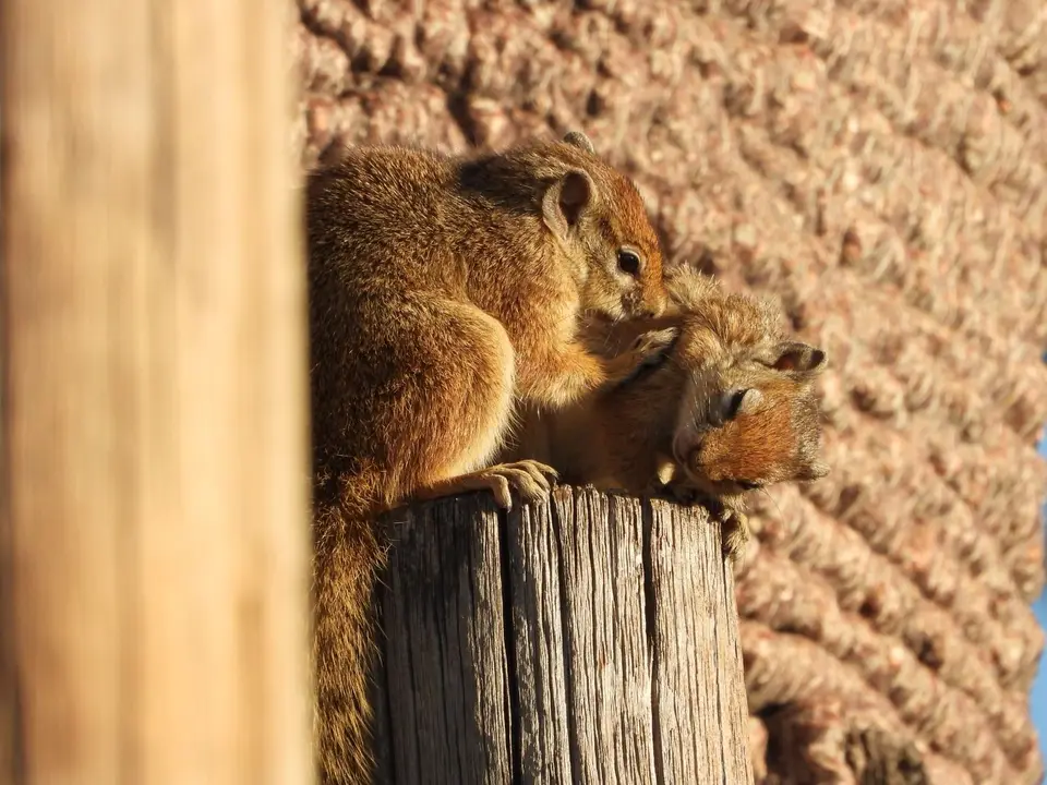 DSCN6558.JPG