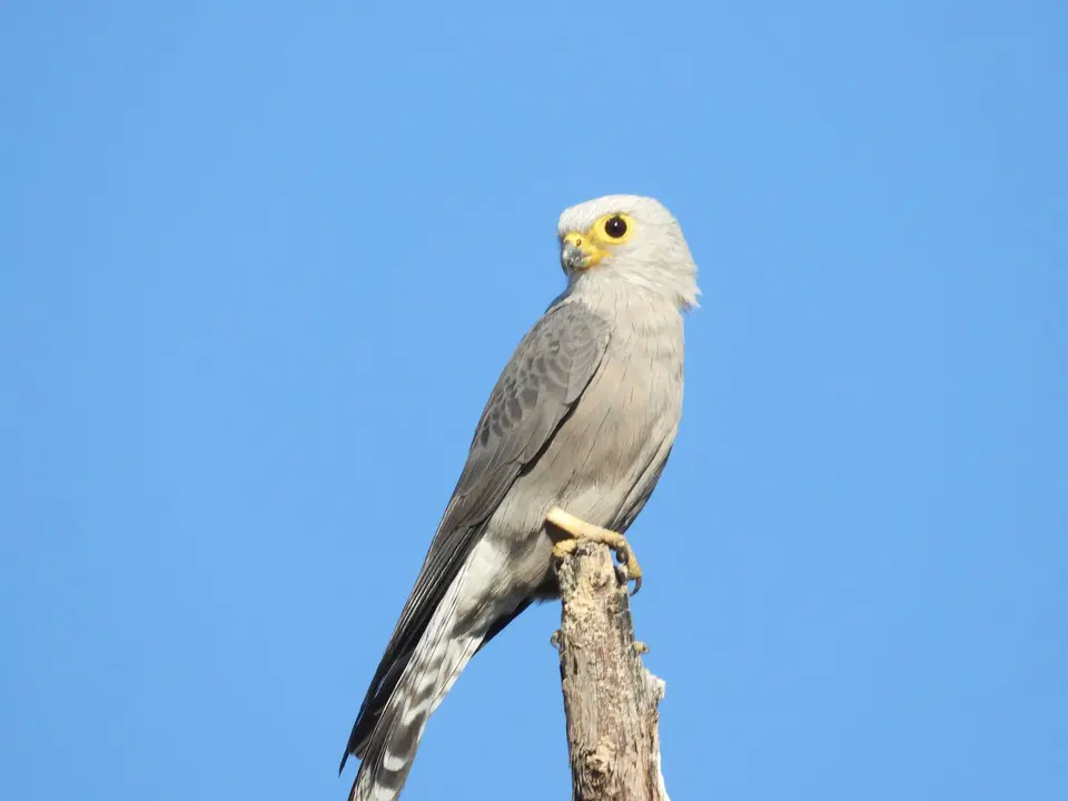 DSCN6914.JPG