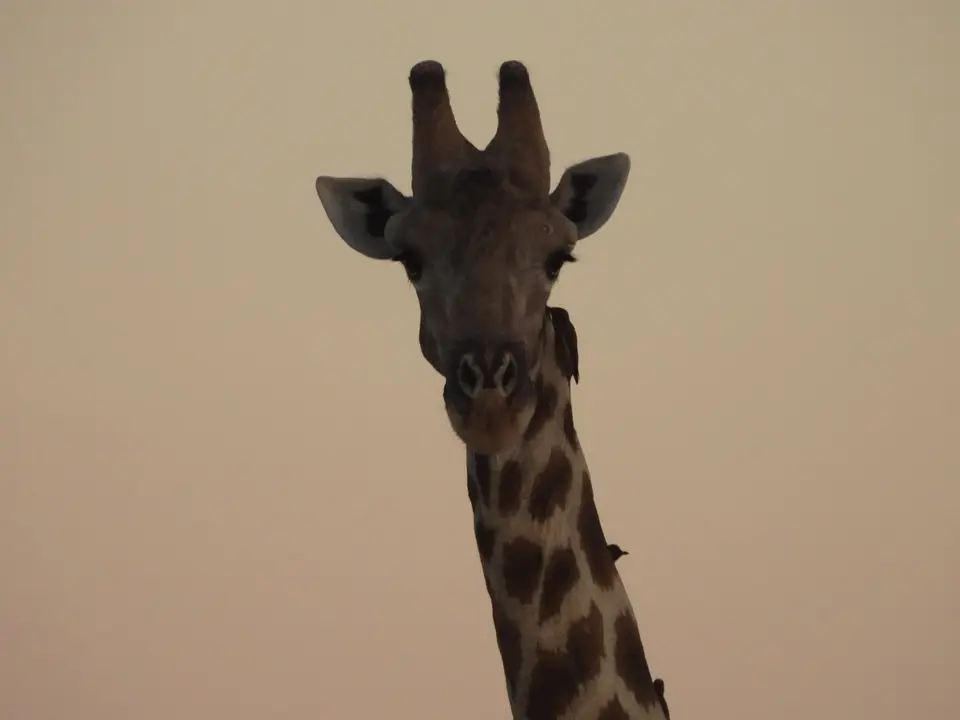 DSCN6945.JPG