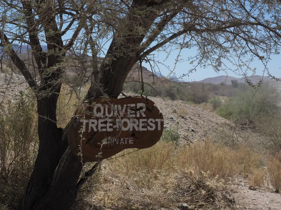 05-02-AQuiverTreeEntrance.JPG