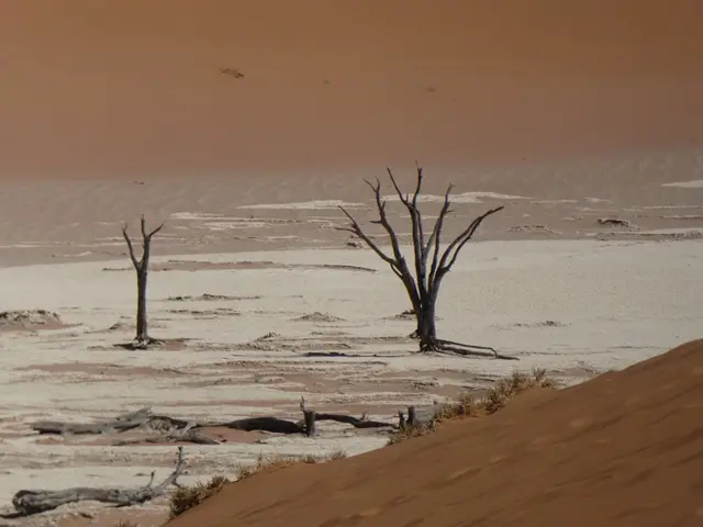 IMG-20180520-WA0006.jpg