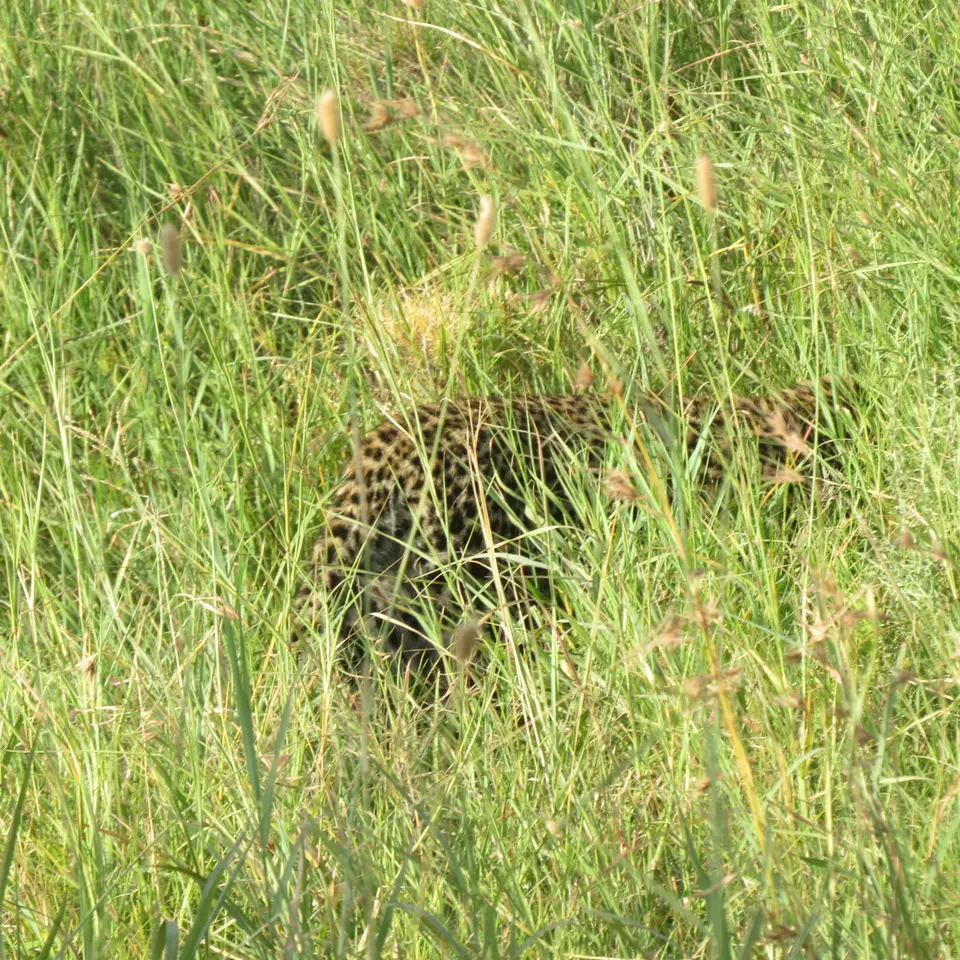 IMG_0803.JPG