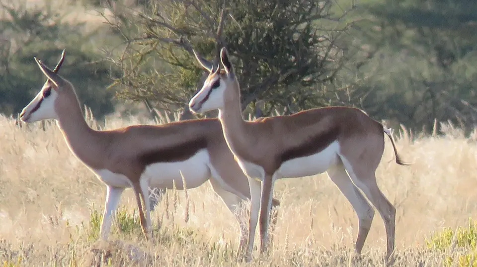 IMG_1124.JPG