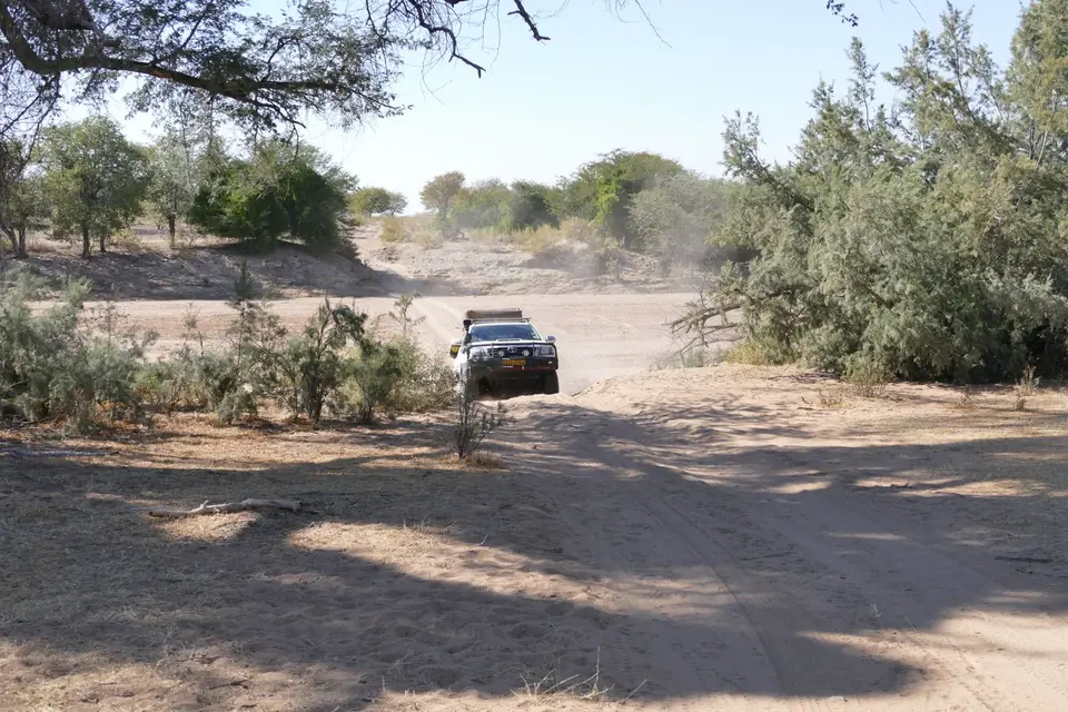 auto(58).JPG