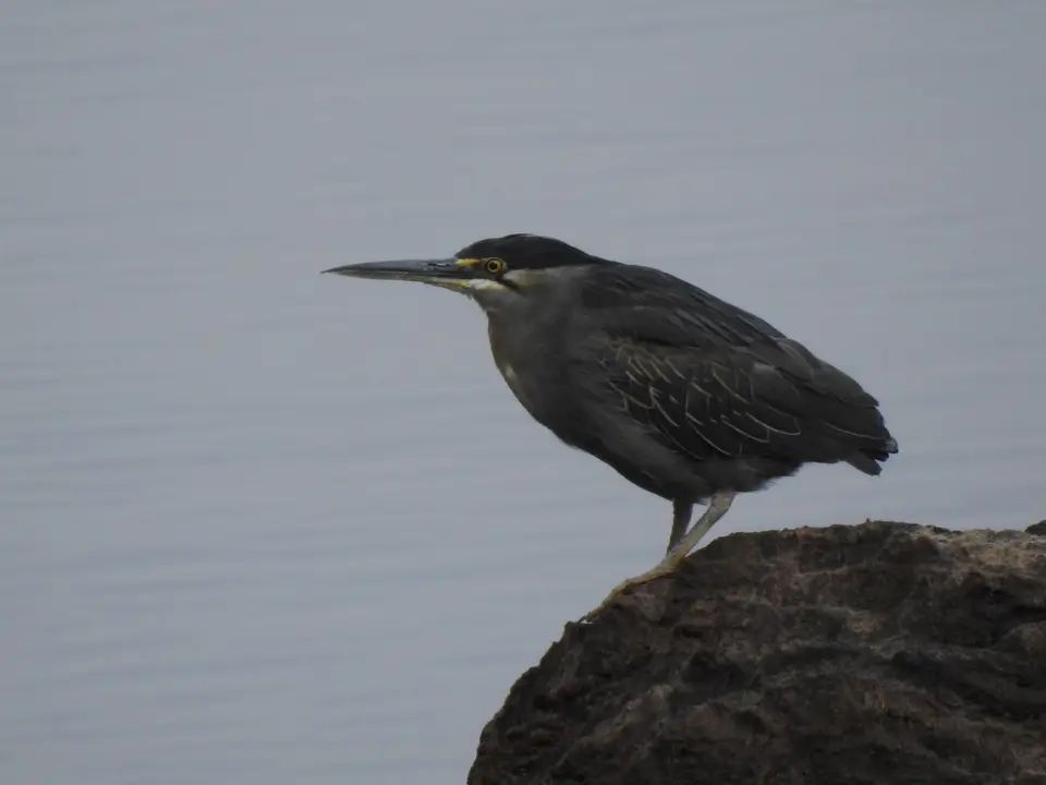 DSCN8679.JPG