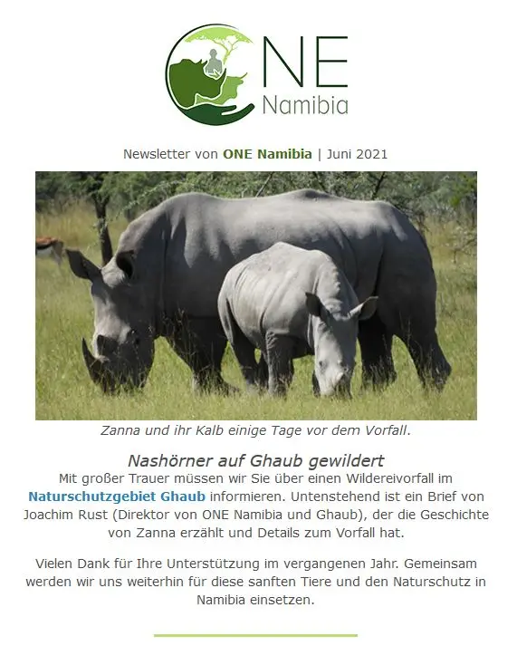 NashornwildereiNamibia.JPG