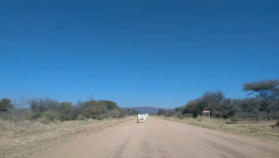 etosha_1.jpg