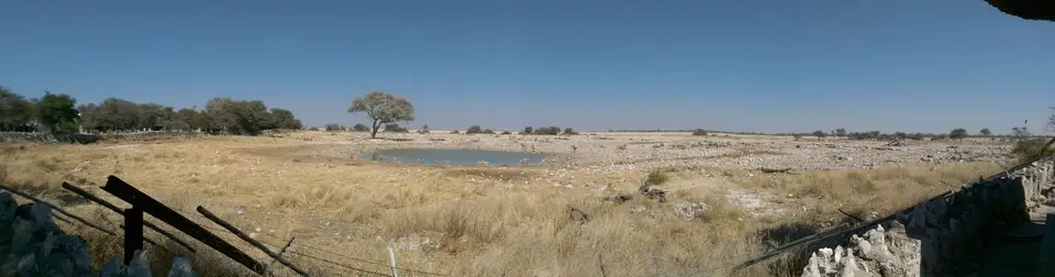 etosha_3_3.jpg