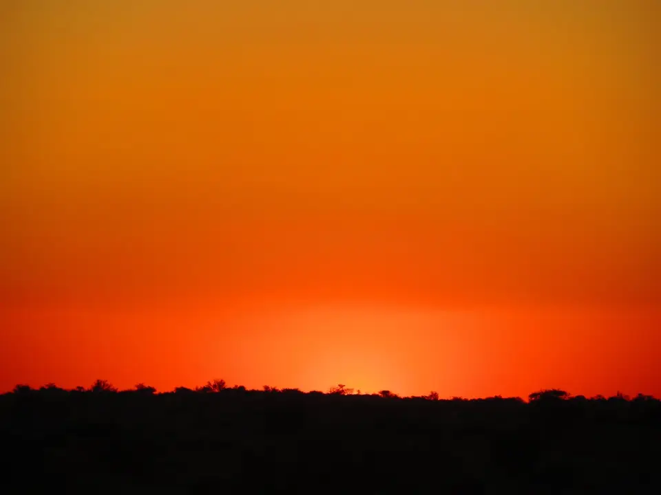 kalahari_1_9_5.jpg