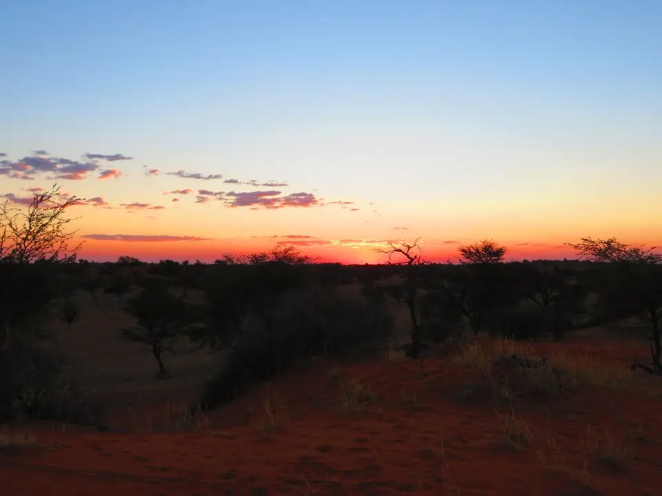 kalahari_6.jpg