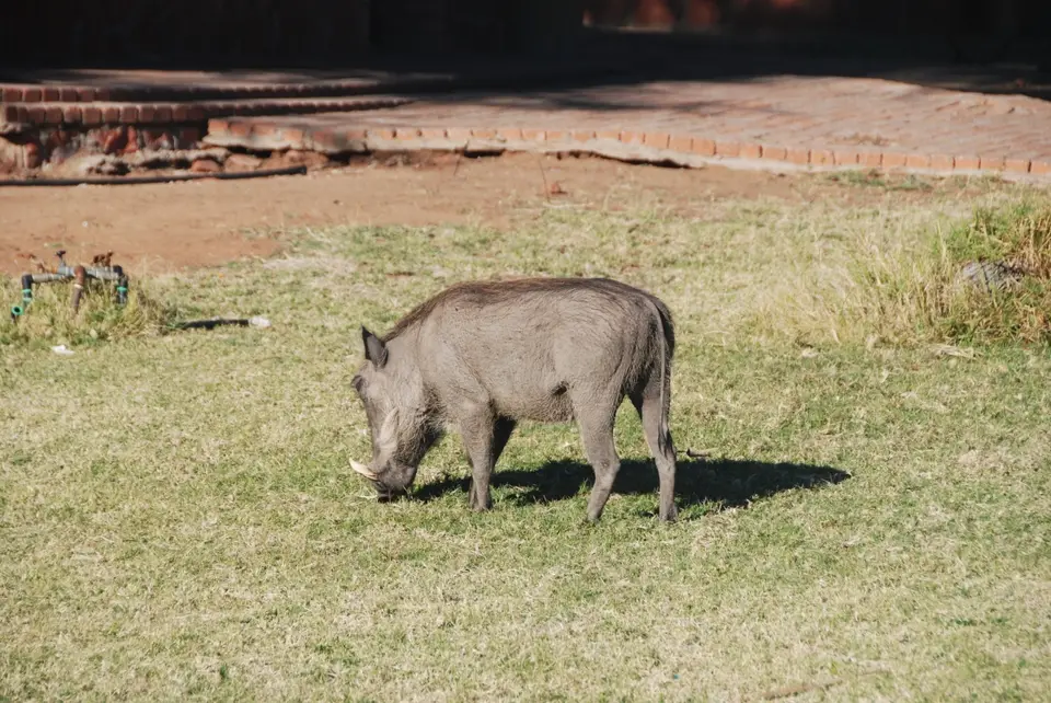 reisebericht_waterberg_1.jpg