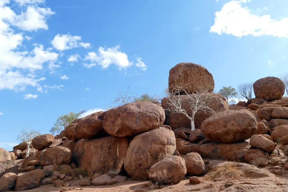 P1110619_v1_2048_logo.JPG