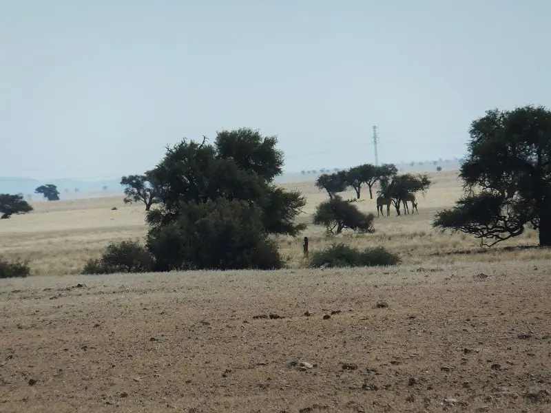 k-DSCF1140.JPG