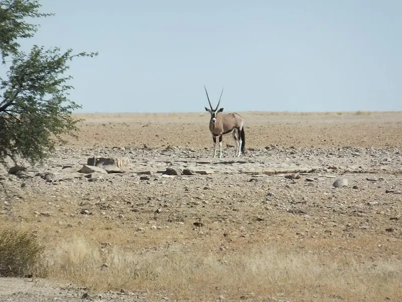 k-DSCF1155.JPG